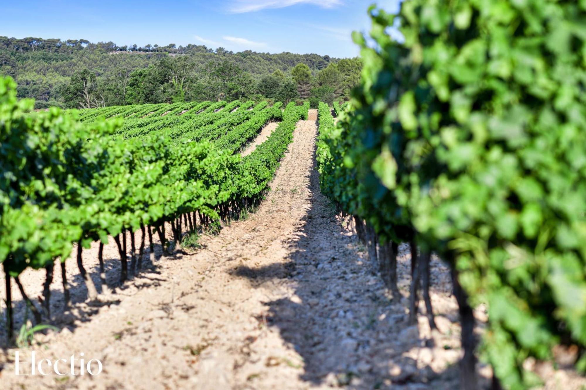 Bastide Domaine Tour Campanets Aparthotel เลอ ปีย์ ซองต์ เรปาฮาด ภายนอก รูปภาพ