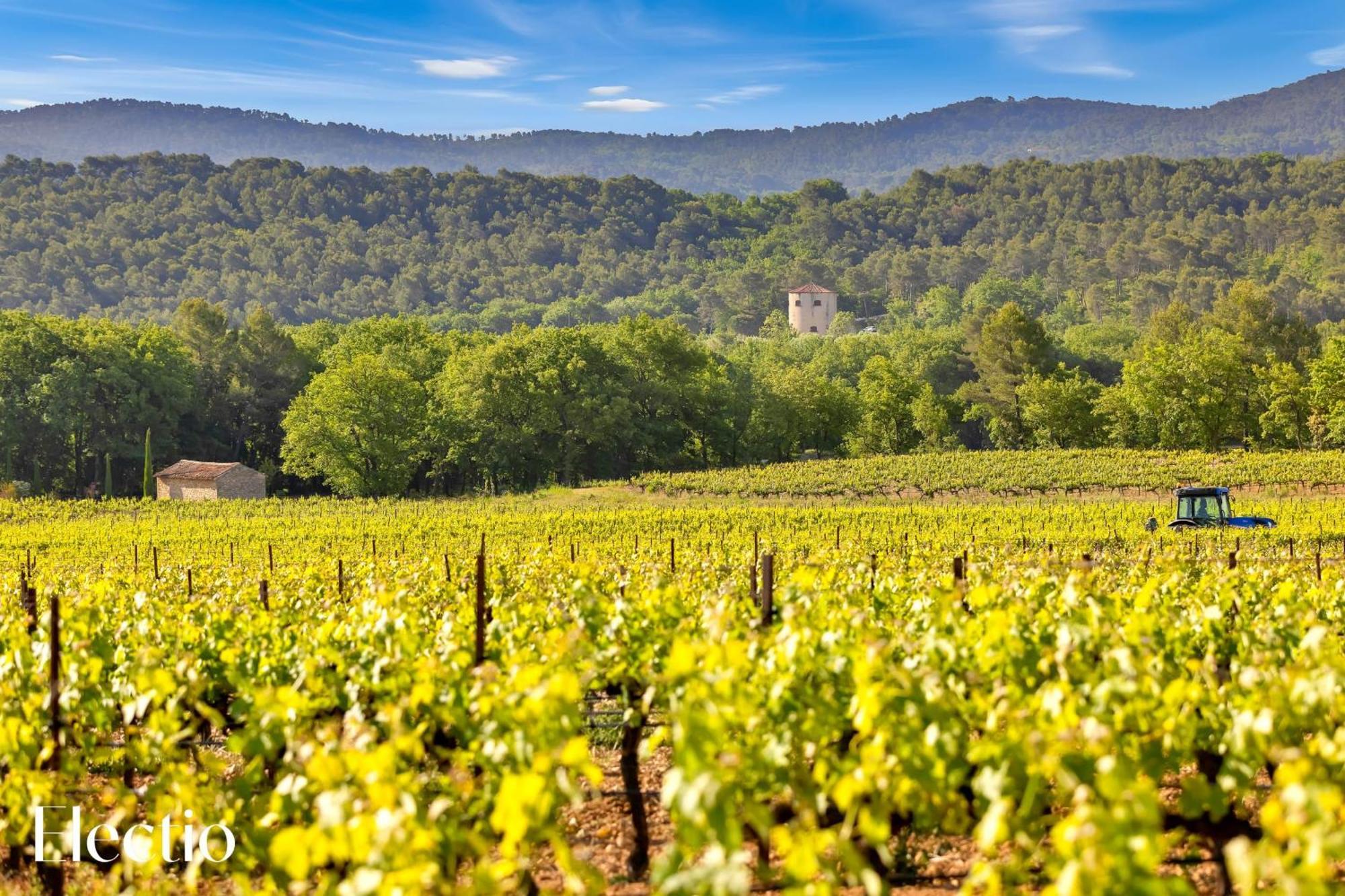 Bastide Domaine Tour Campanets Aparthotel เลอ ปีย์ ซองต์ เรปาฮาด ภายนอก รูปภาพ